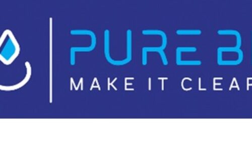 Pure Business Intelligence System – Grasim Industries (Aditya Birla Group)
