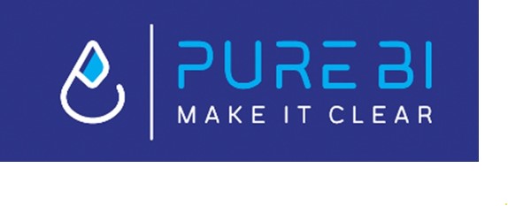 Pure Business Intelligence System – Grasim Industries (Aditya Birla Group)